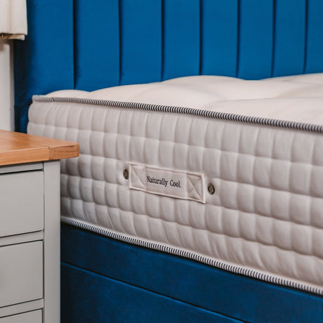 Sophia Briar-Rose Noemie 1000 Pocket Sprung Natural Cotton Tencel Hotel Divan Bed Set