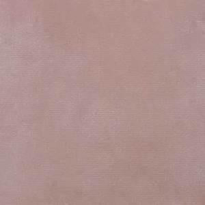 Plush Pink